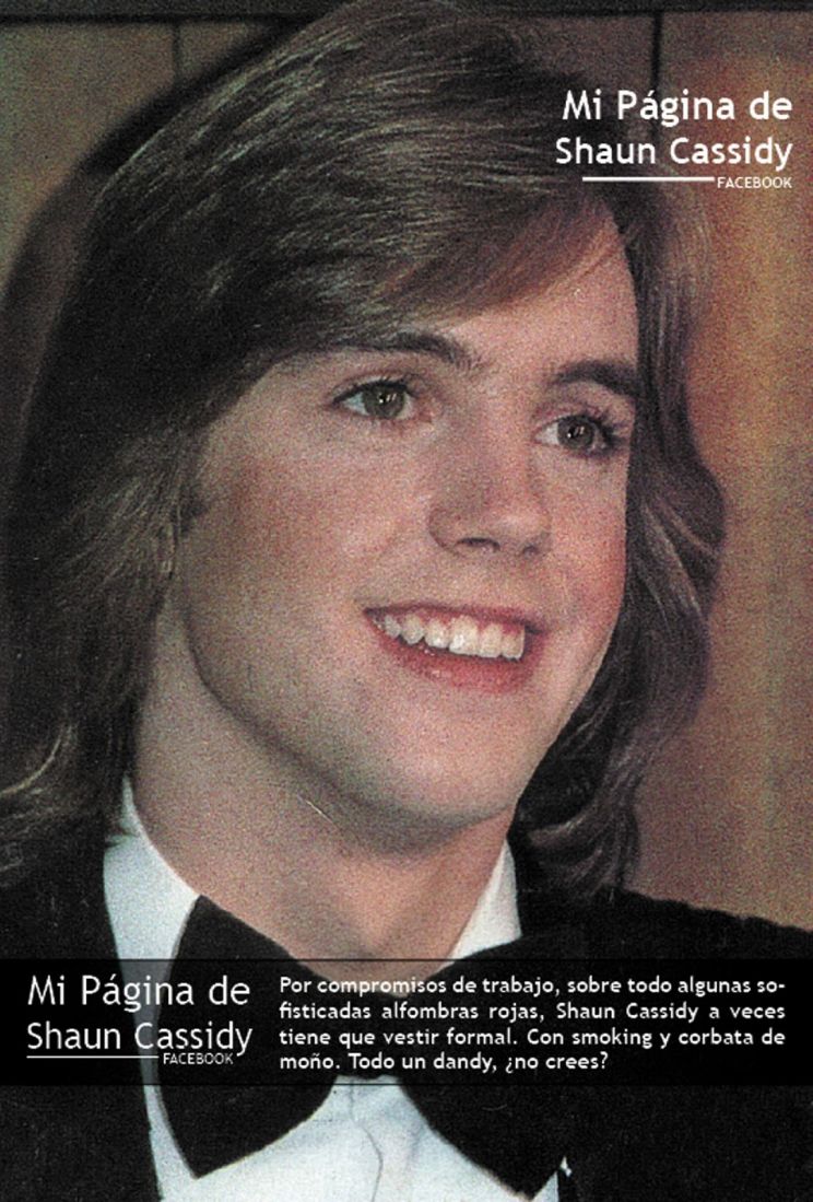 Shaun Cassidy