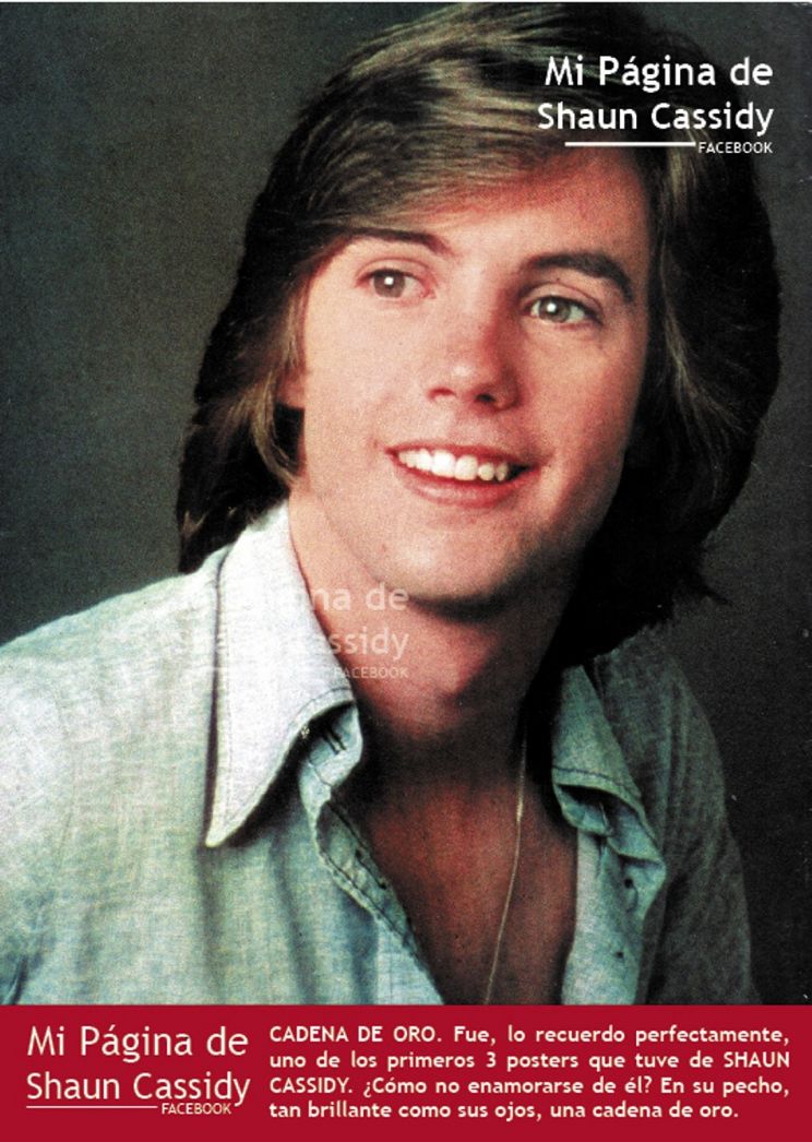 Shaun Cassidy