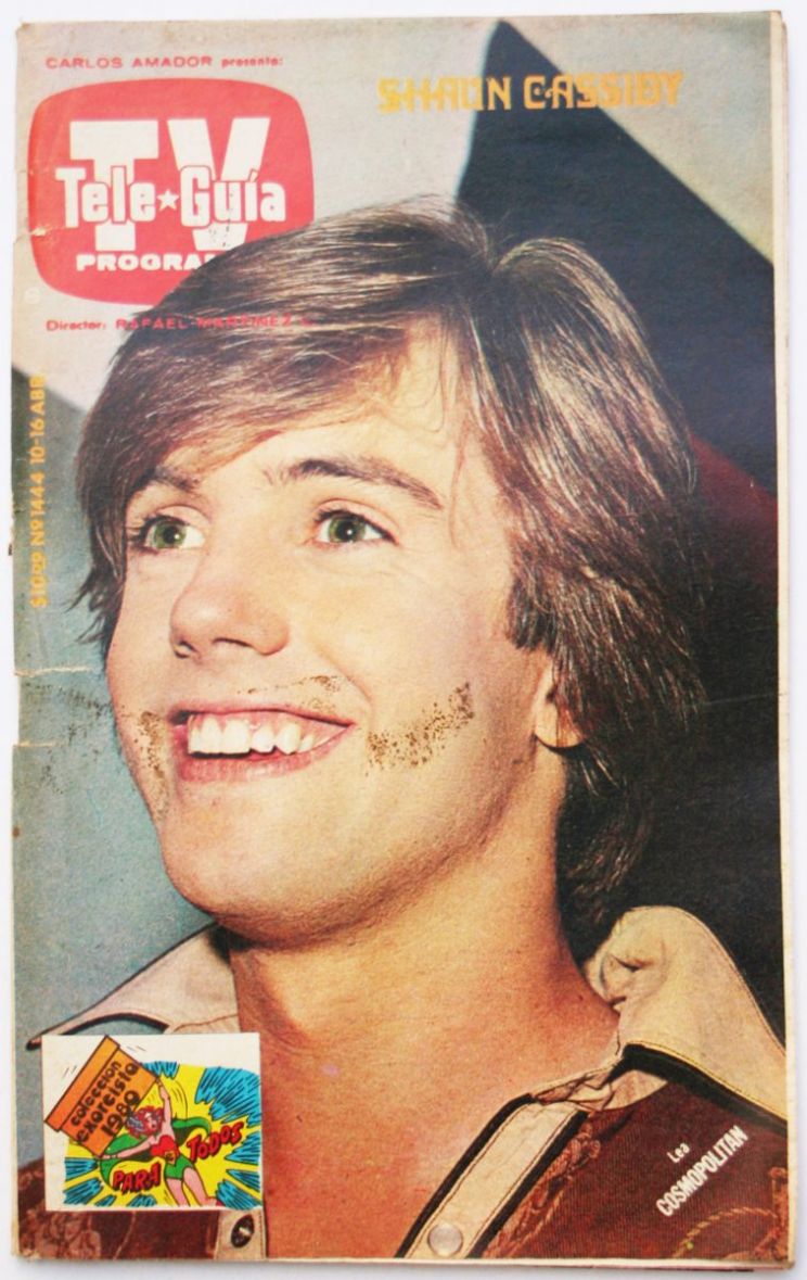Shaun Cassidy