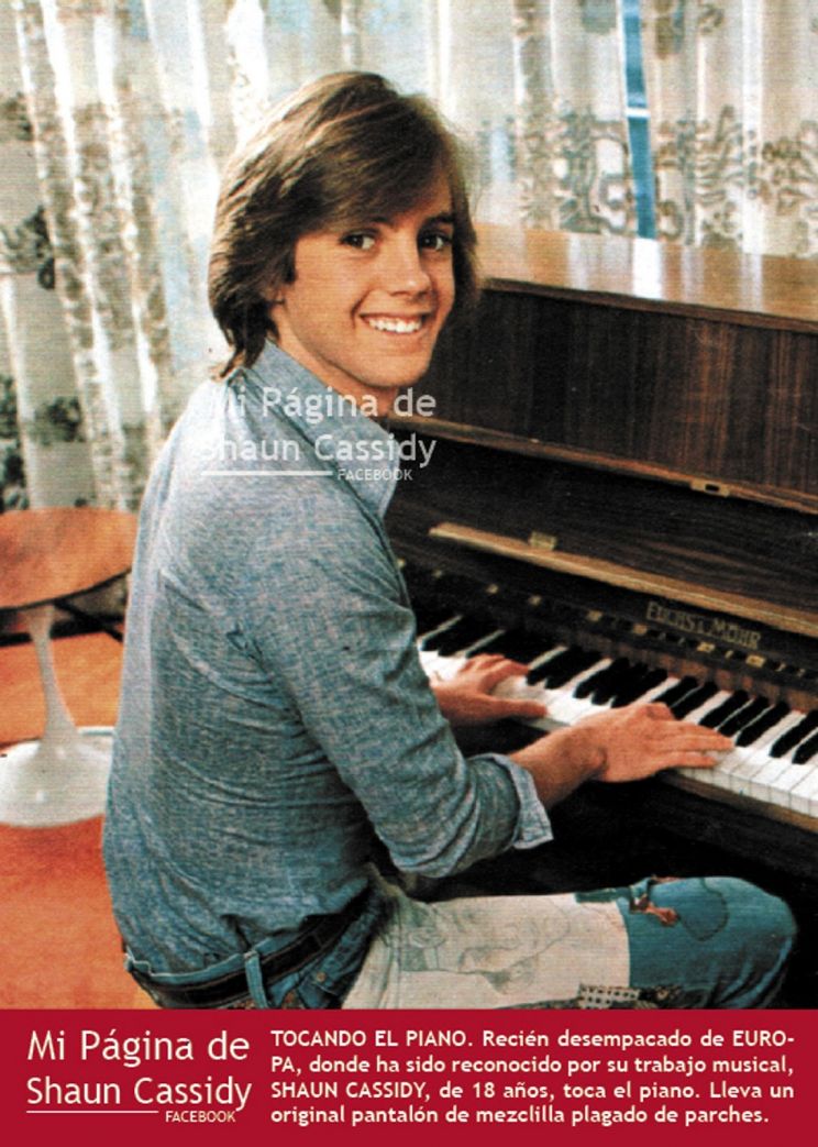 Shaun Cassidy