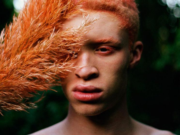 Shaun Ross