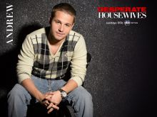 Shawn Pyfrom