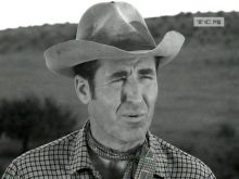 Sheb Wooley