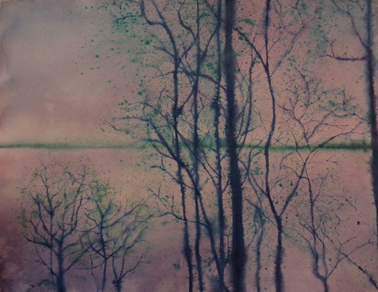 Sheila Shaw