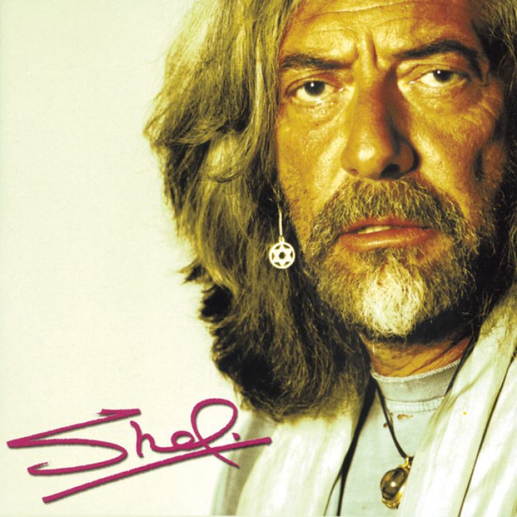 Shel Shapiro