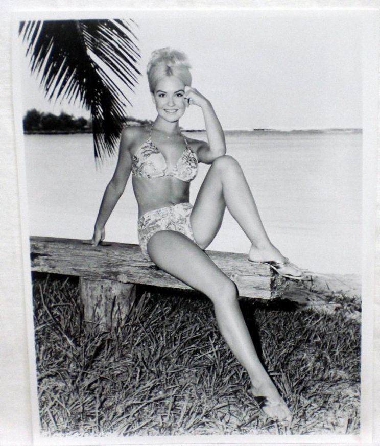Shelley Fabares