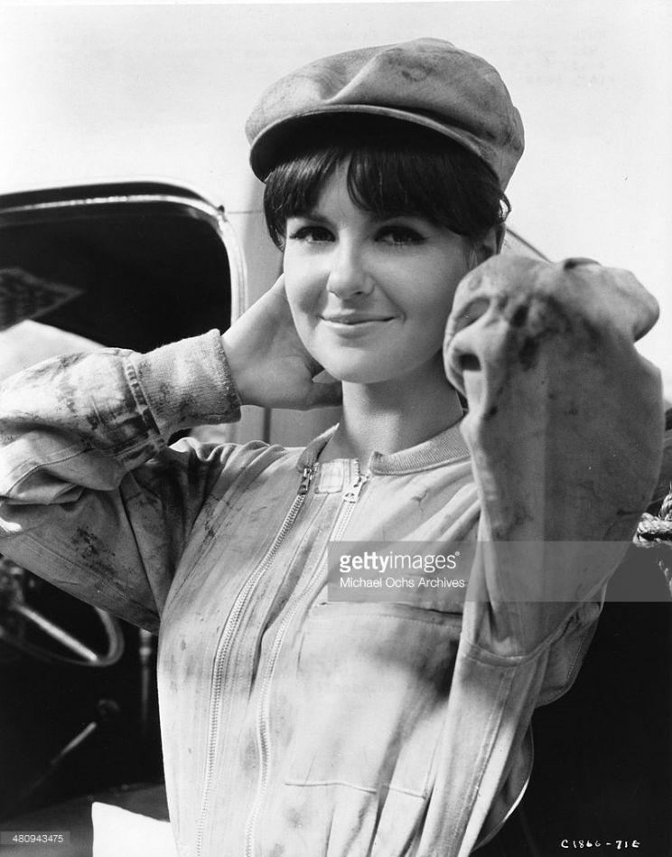 Shelley Fabares