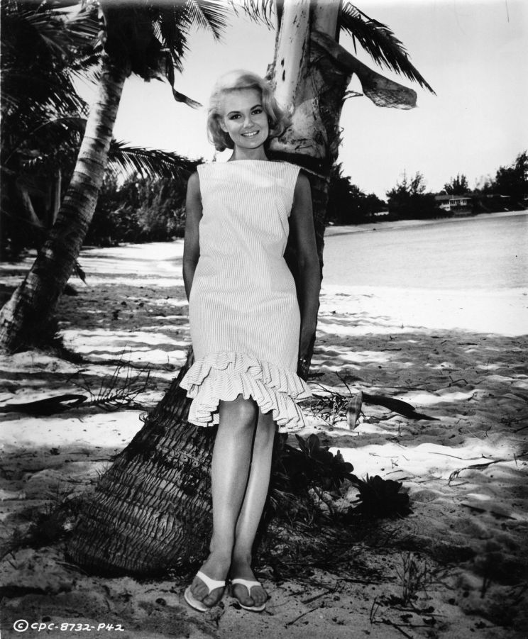 Shelley Fabares