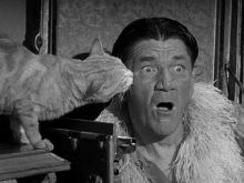 Shemp Howard