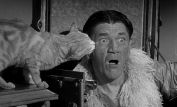 Shemp Howard