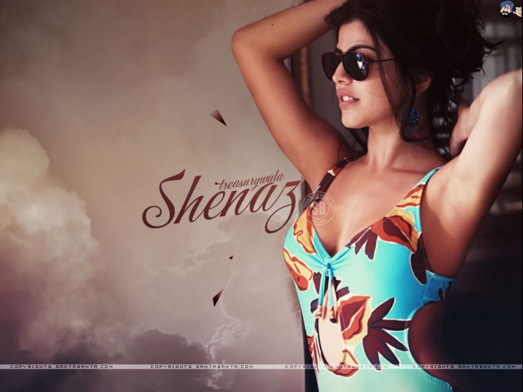 Shenaz Treasurywala