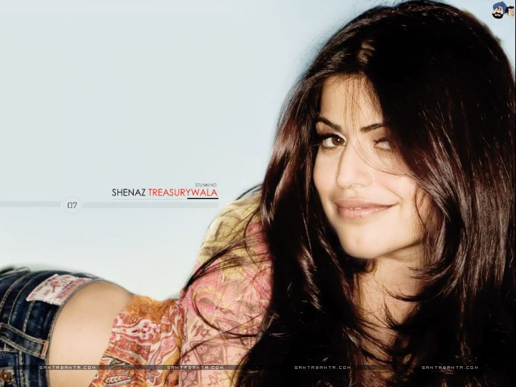Shenaz Treasurywala