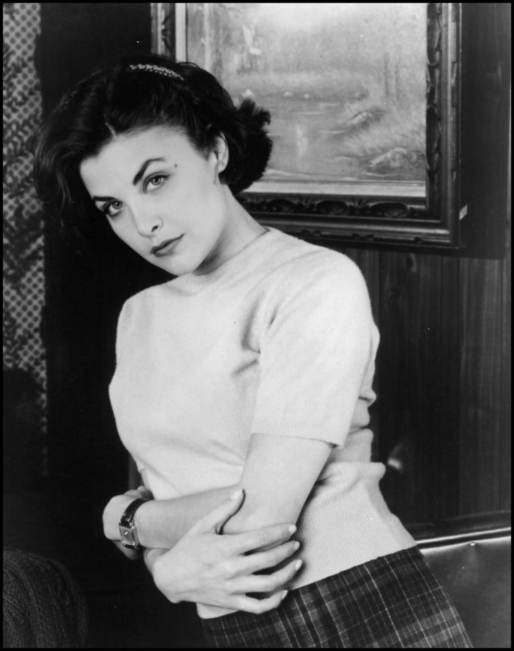 Sherilyn Fenn