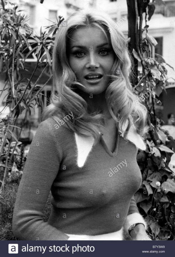 Sherry Boucher