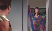 Sherry Jackson