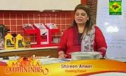 Shireen Anwar