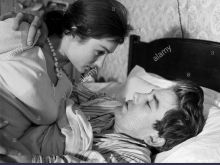 Shirley Anne Field photo