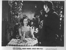 Shirley Anne Field