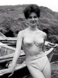 Shirley Anne Field