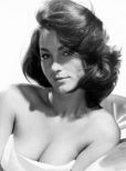 Shirley Anne Field