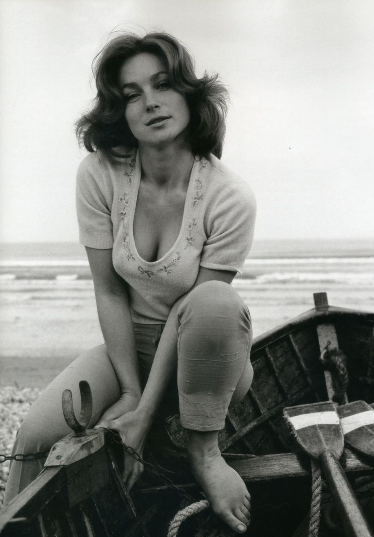 Shirley Anne Field