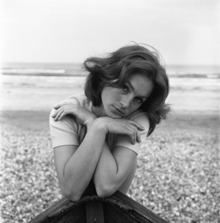 Shirley Anne Field