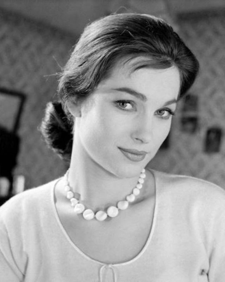 Shirley Anne Field