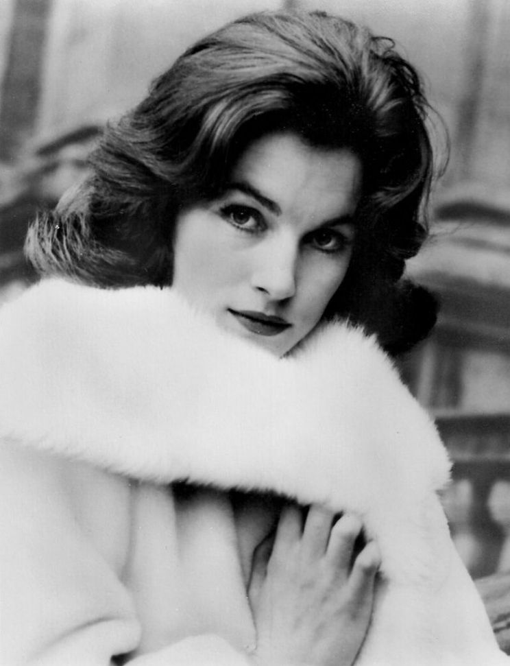 Shirley Anne Field