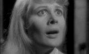 Shirley Knight