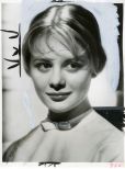 Shirley Knight