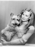 Shirley Knight