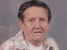 Shirley Patterson #3262315 picture (Landscape Medium)