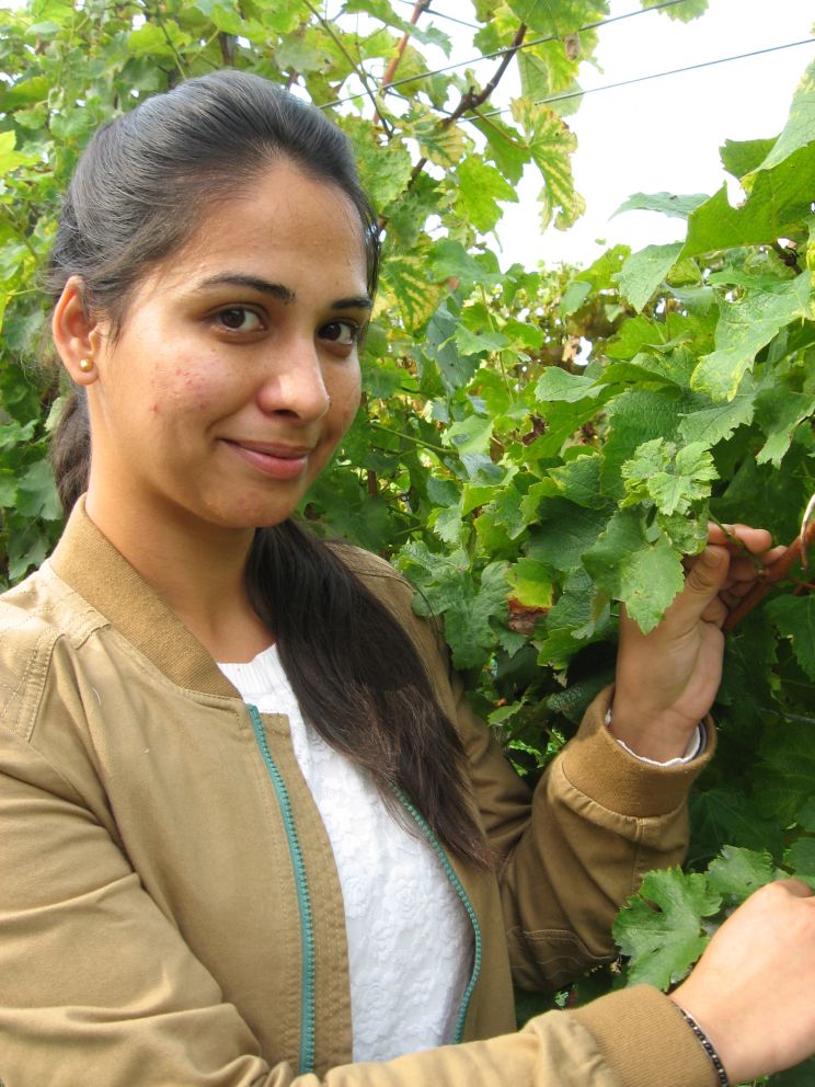 Shivani Ghai
