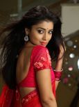 Shriya Saran