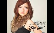 Shy Love