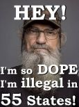 Si Robertson