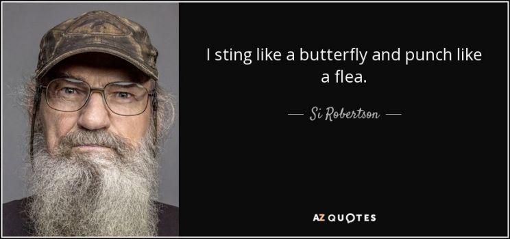 Si Robertson