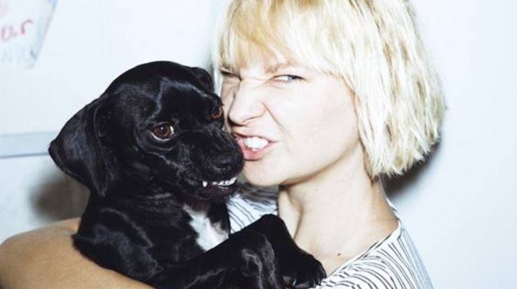 Sia