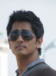 Siddharth