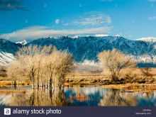 Sierra Pond