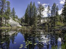 Sierra Pond