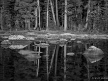 Sierra Pond
