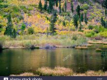 Sierra Pond