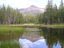 Sierra Pond