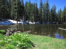 Sierra Pond