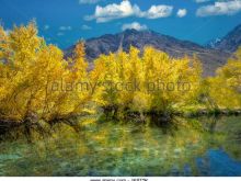 Sierra Pond