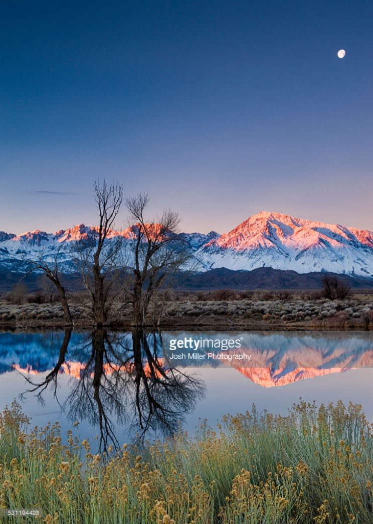 Sierra Pond