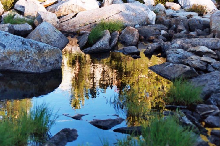 Sierra Pond