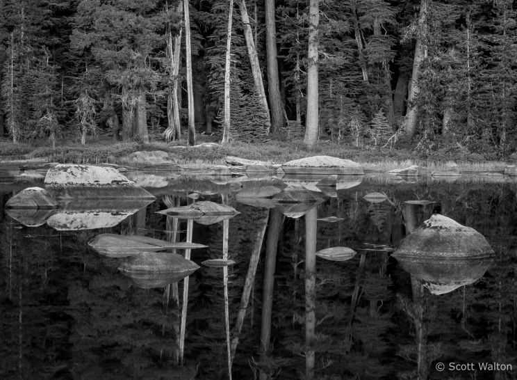 Sierra Pond