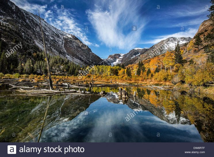 Sierra Pond